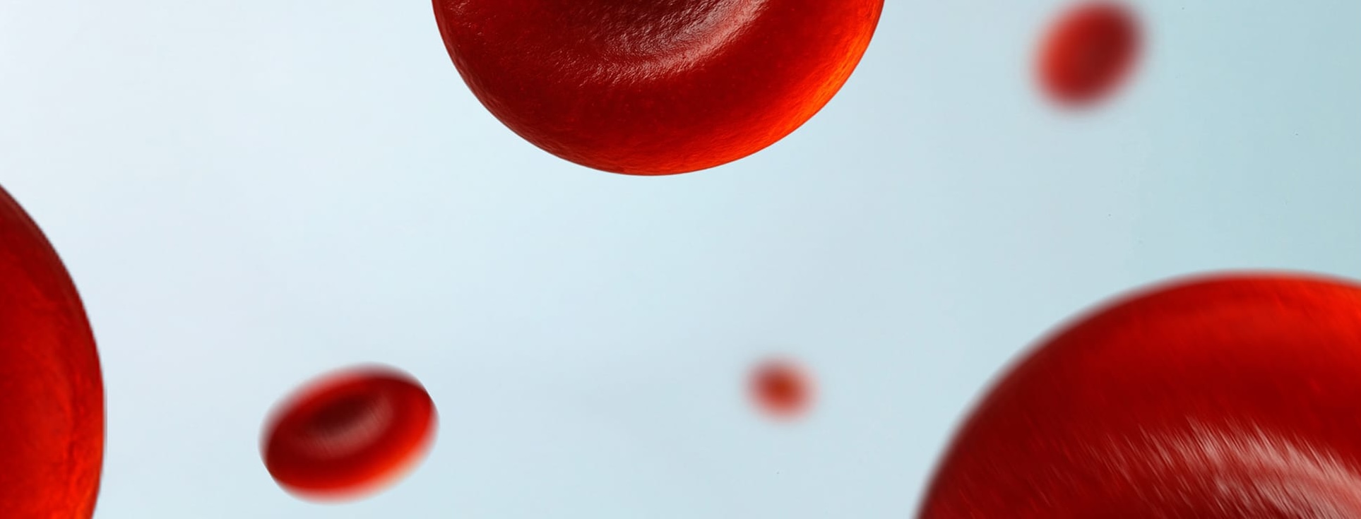 Newsletter Background